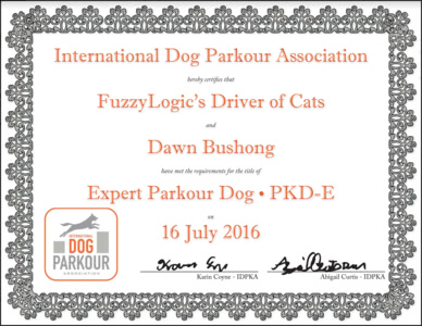 Freya's Expert Parkour Dog Title Certificate
