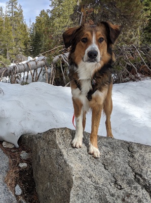 Miles standing on a large granite rock in the snow