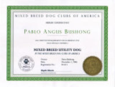 Pablo's MB-UD Title Certificate